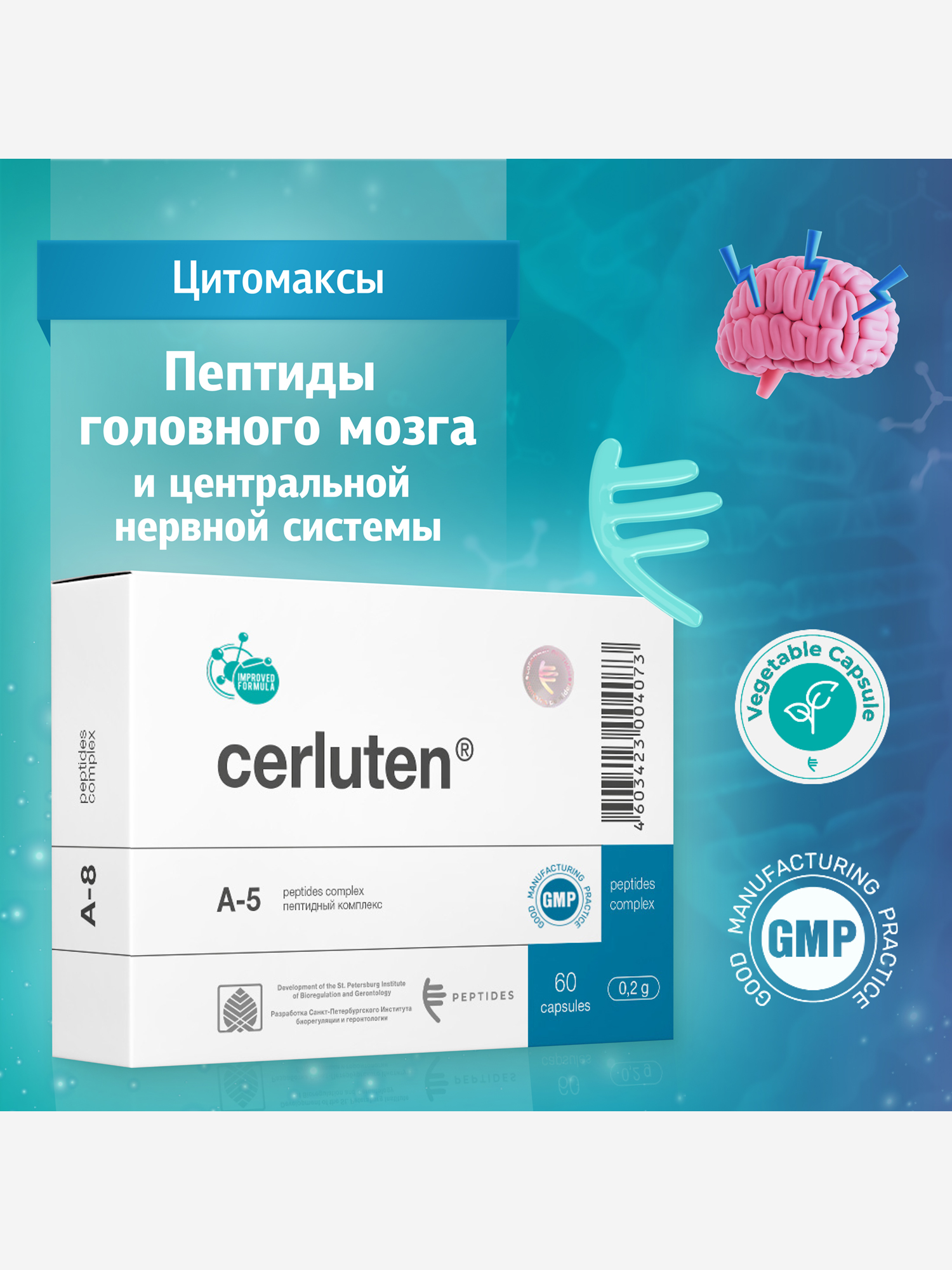 Изображение товара Пептиды головного мозга и центральной нервной системы - Церлутен 60 капсул