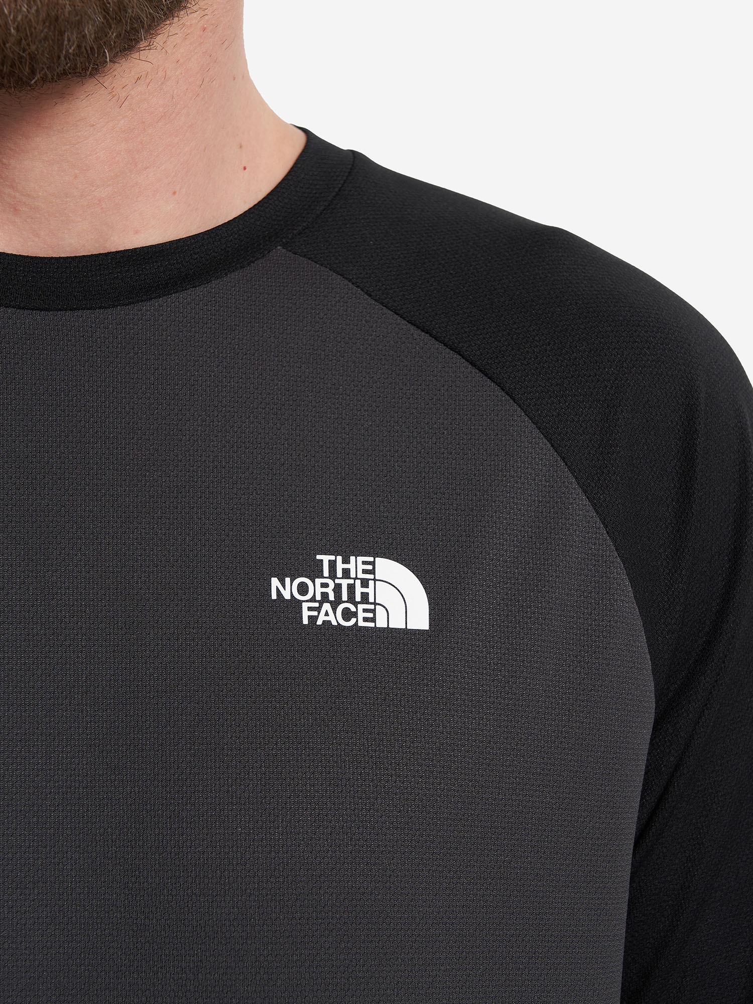 фото Футболка мужская the north face tanken, серый