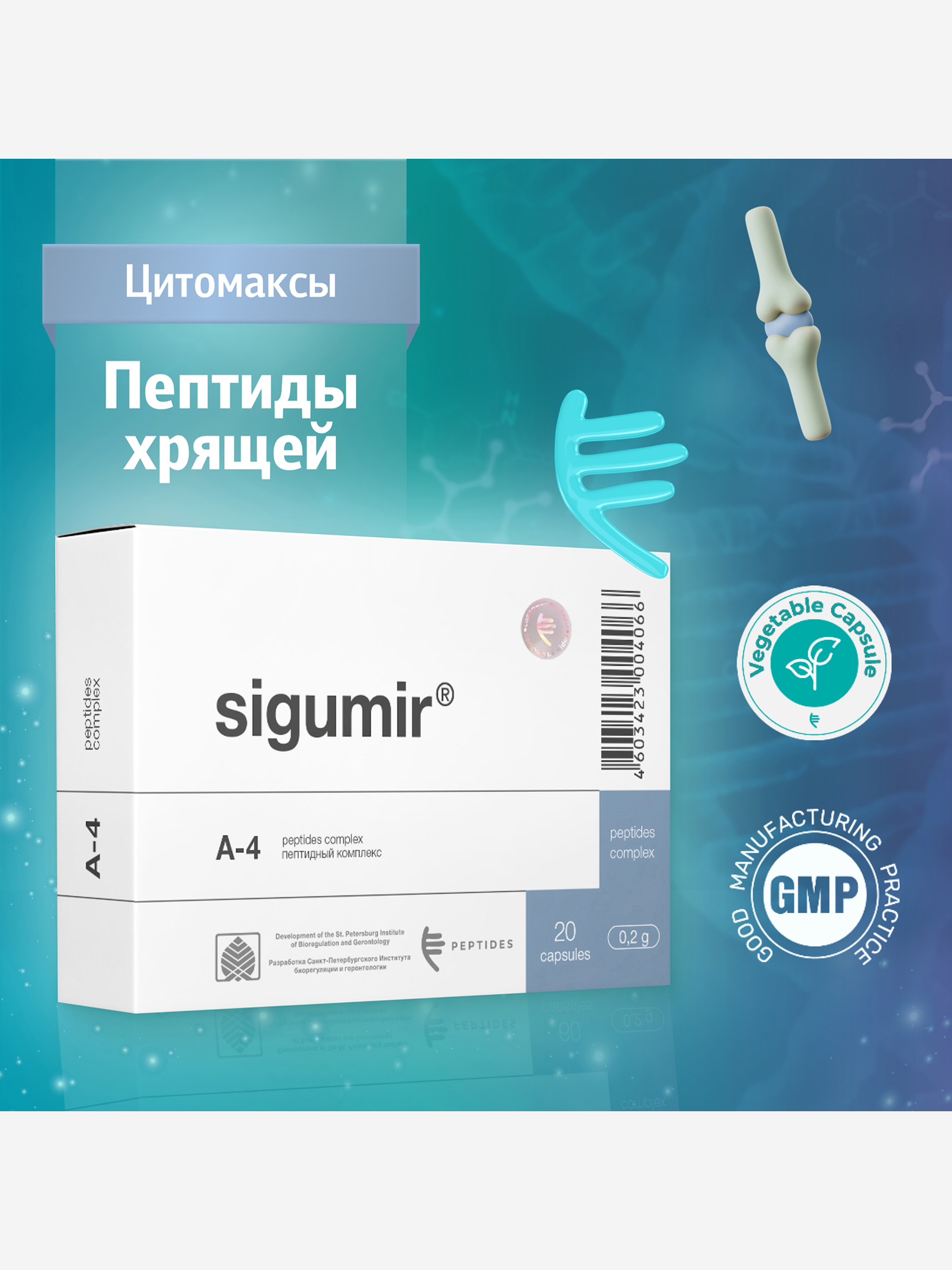 Изображение товара Пептиды хрящевой и костной ткани - Сигумир 20 капсул