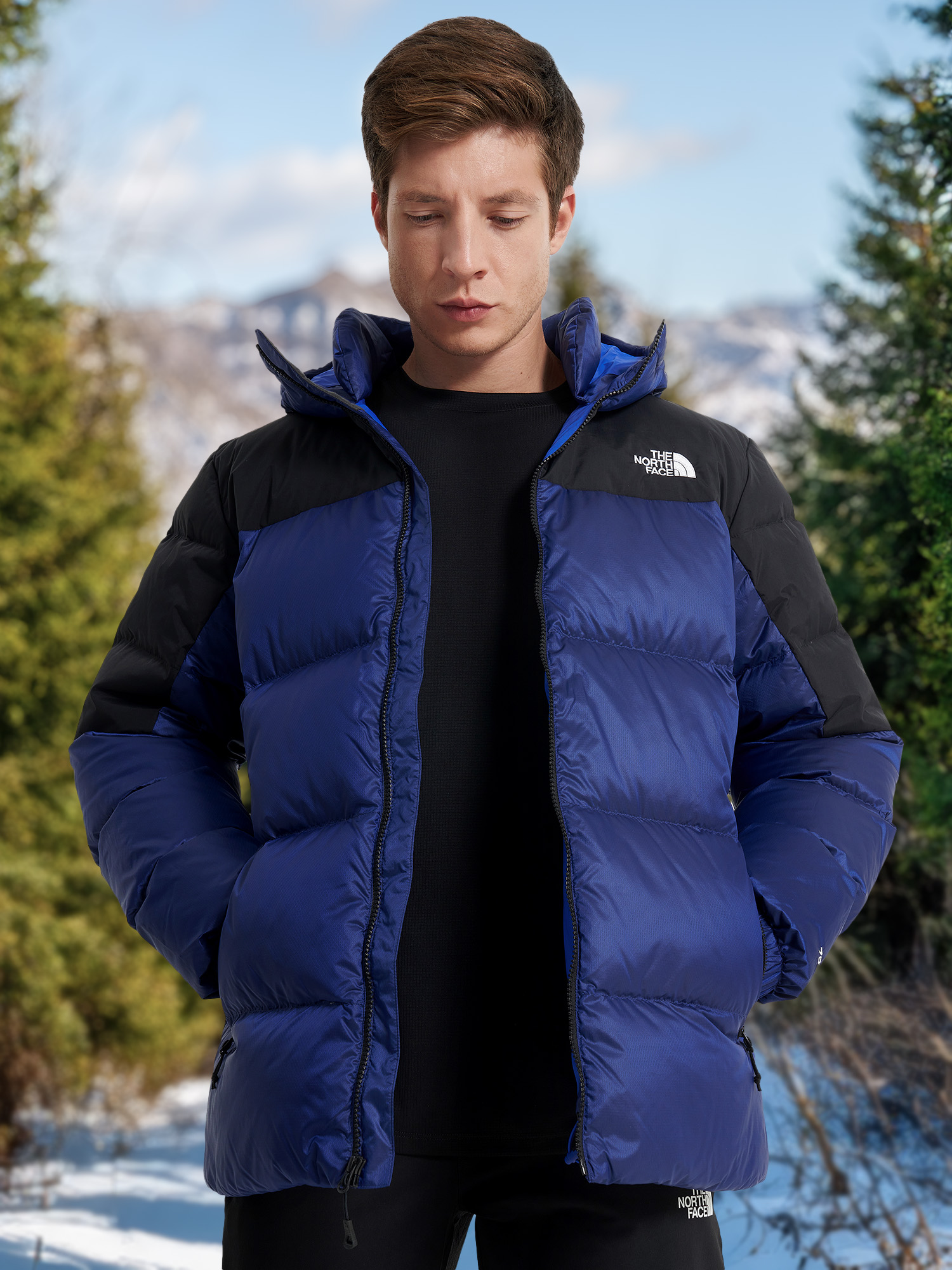 

Пуховик мужской The North Face Diablo, Синий