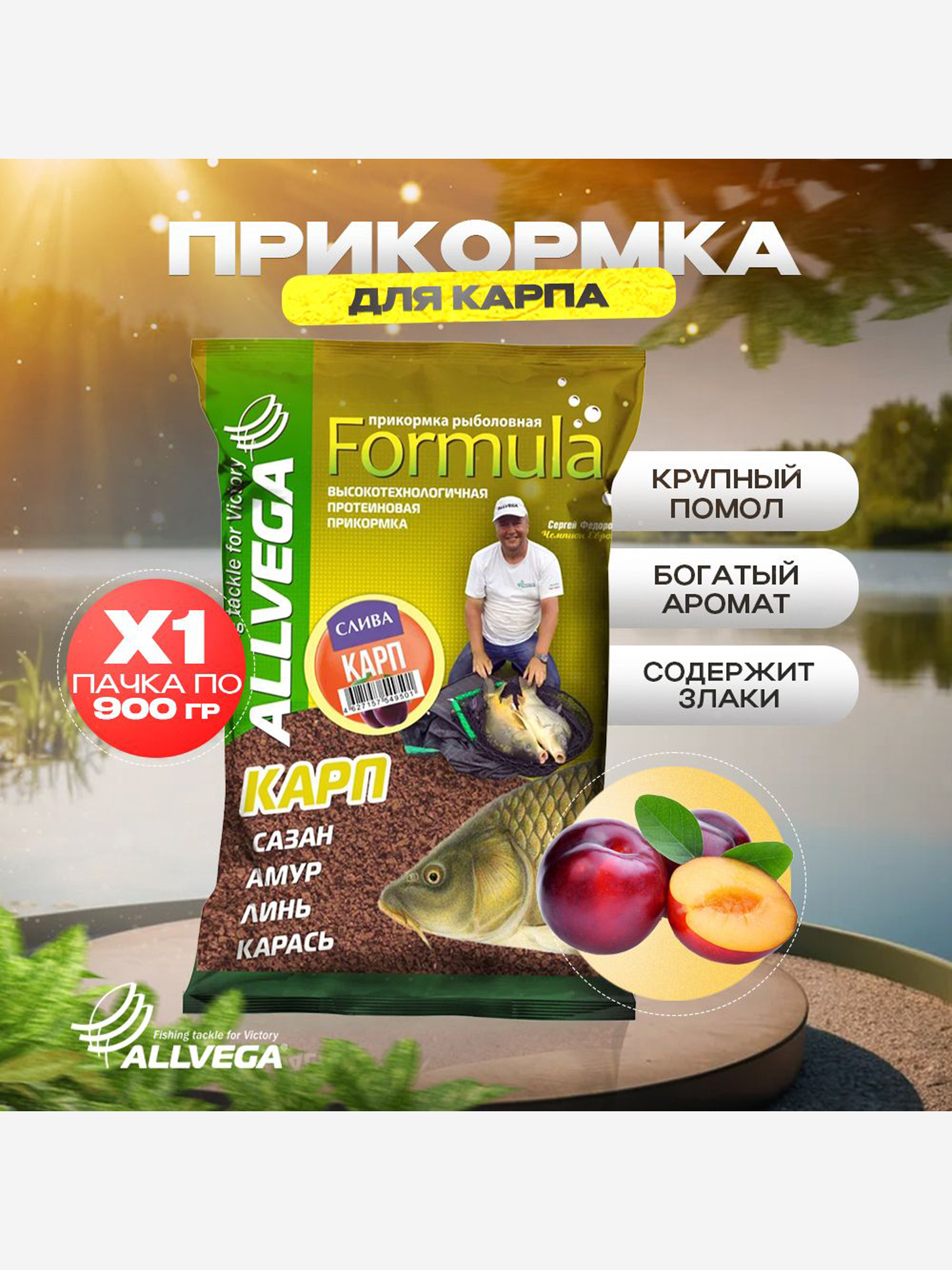 

Прикормка рыболовная ALLVEGA Formula Карп Слива 0,9кг, Коричневый