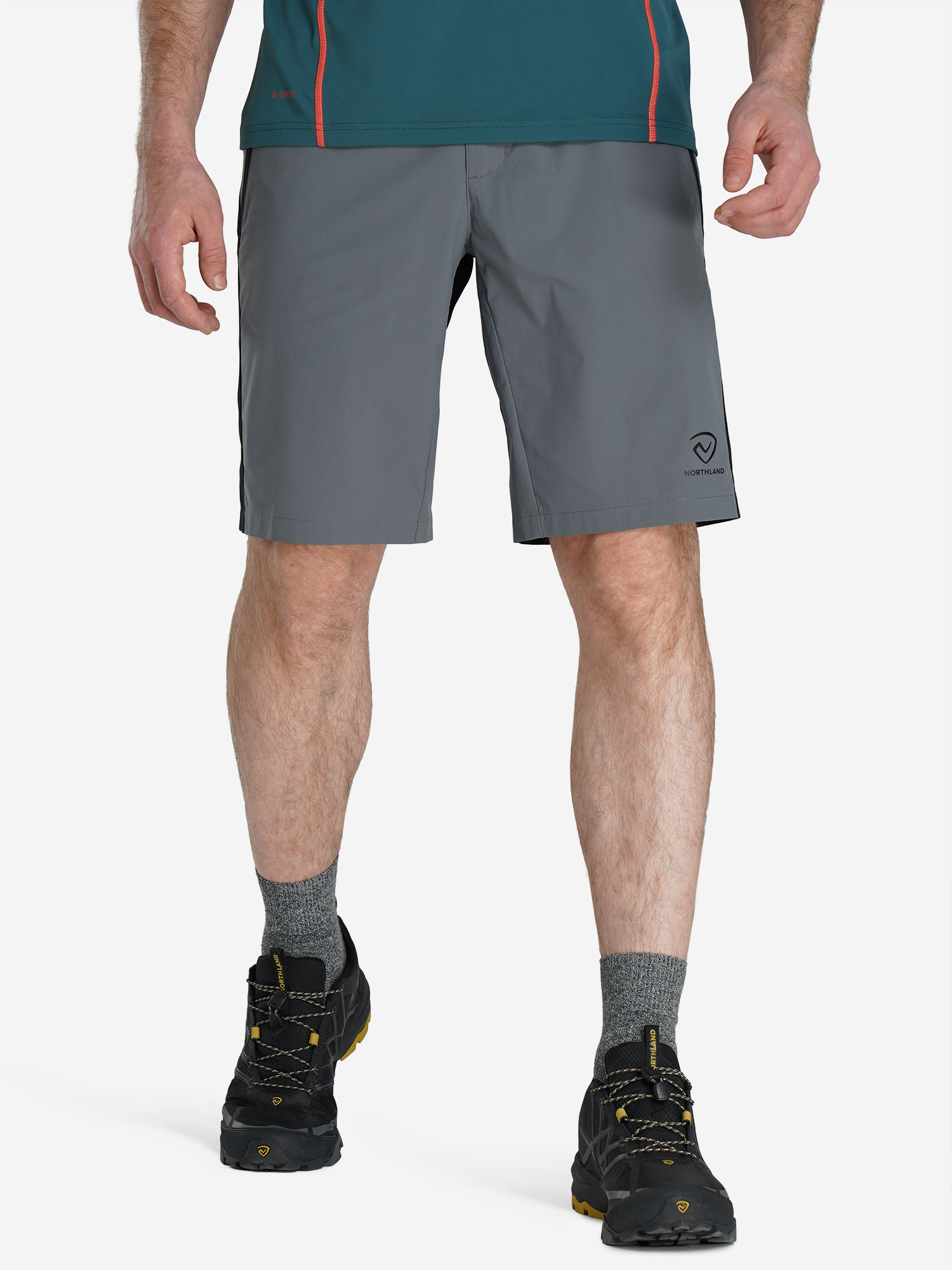 Изображение товара Шорты мужские Northland