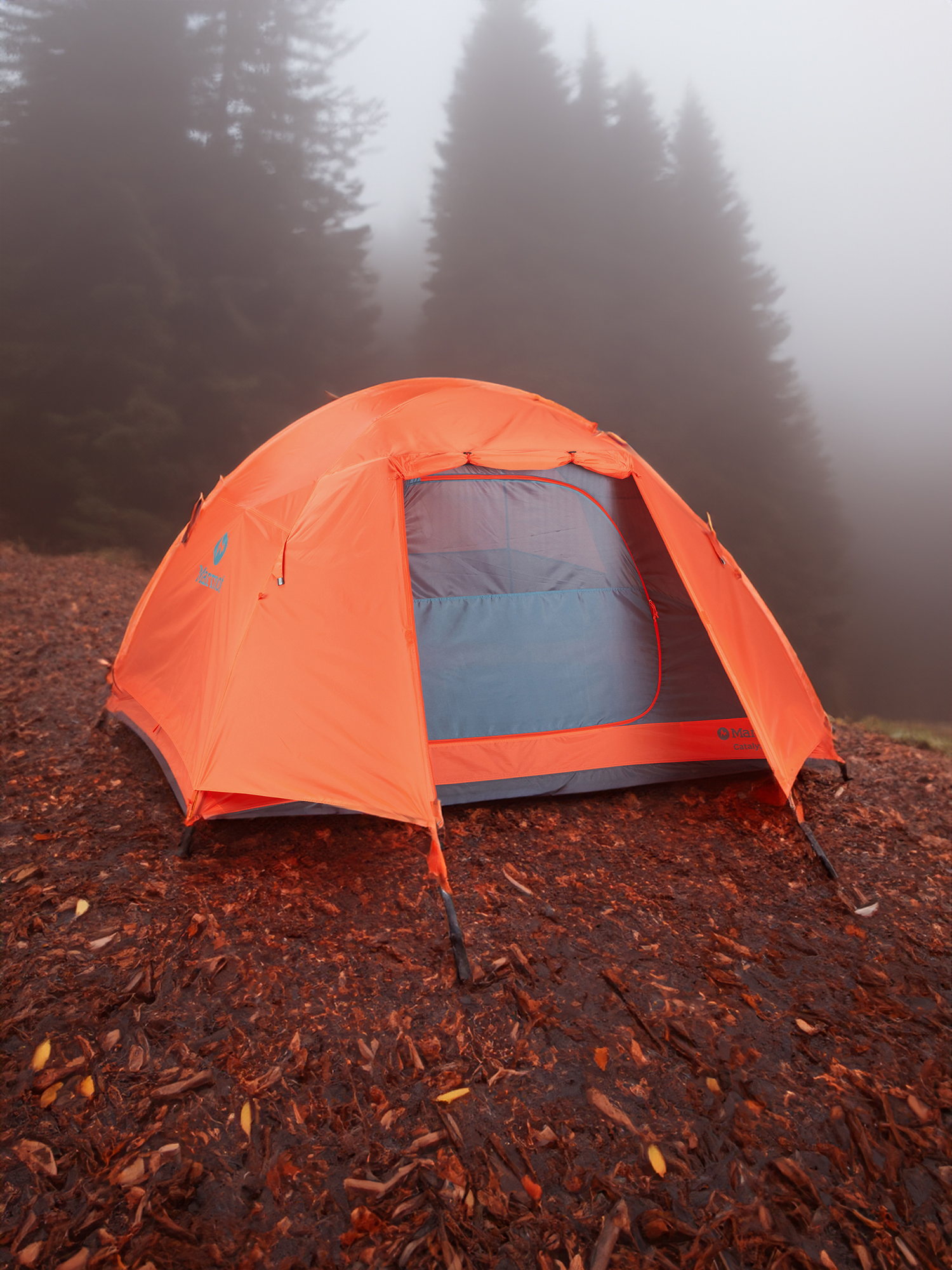 Палатка 2-местная Marmot Catalyst 2P, Оранжевый