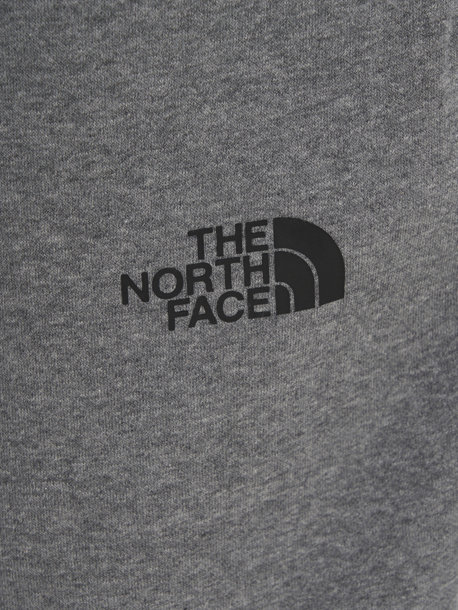 фото Брюки мужские the north face simple dome, серый
