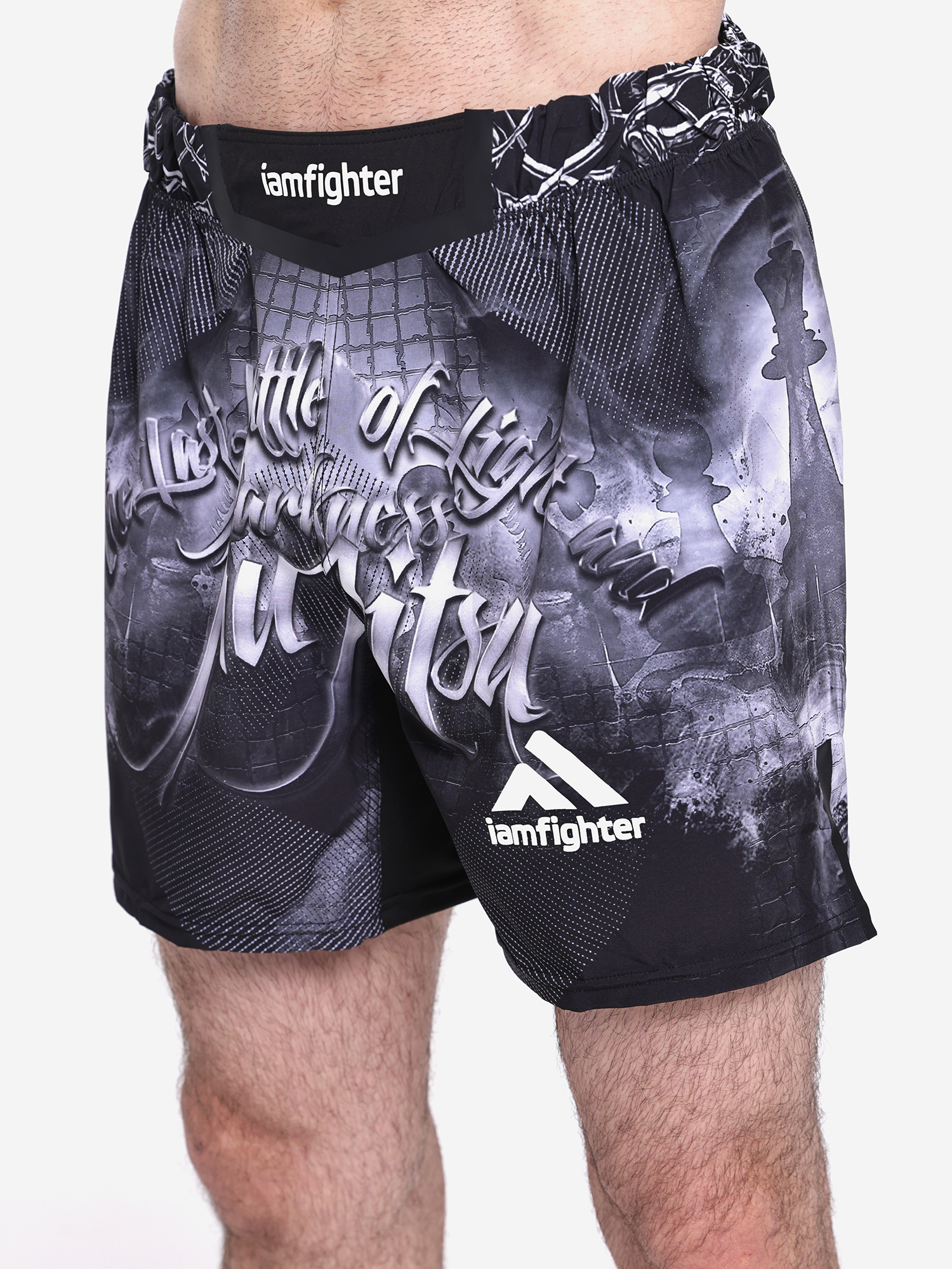 Изображение товара Шорты для единоборств CHESS IAMF, Черный