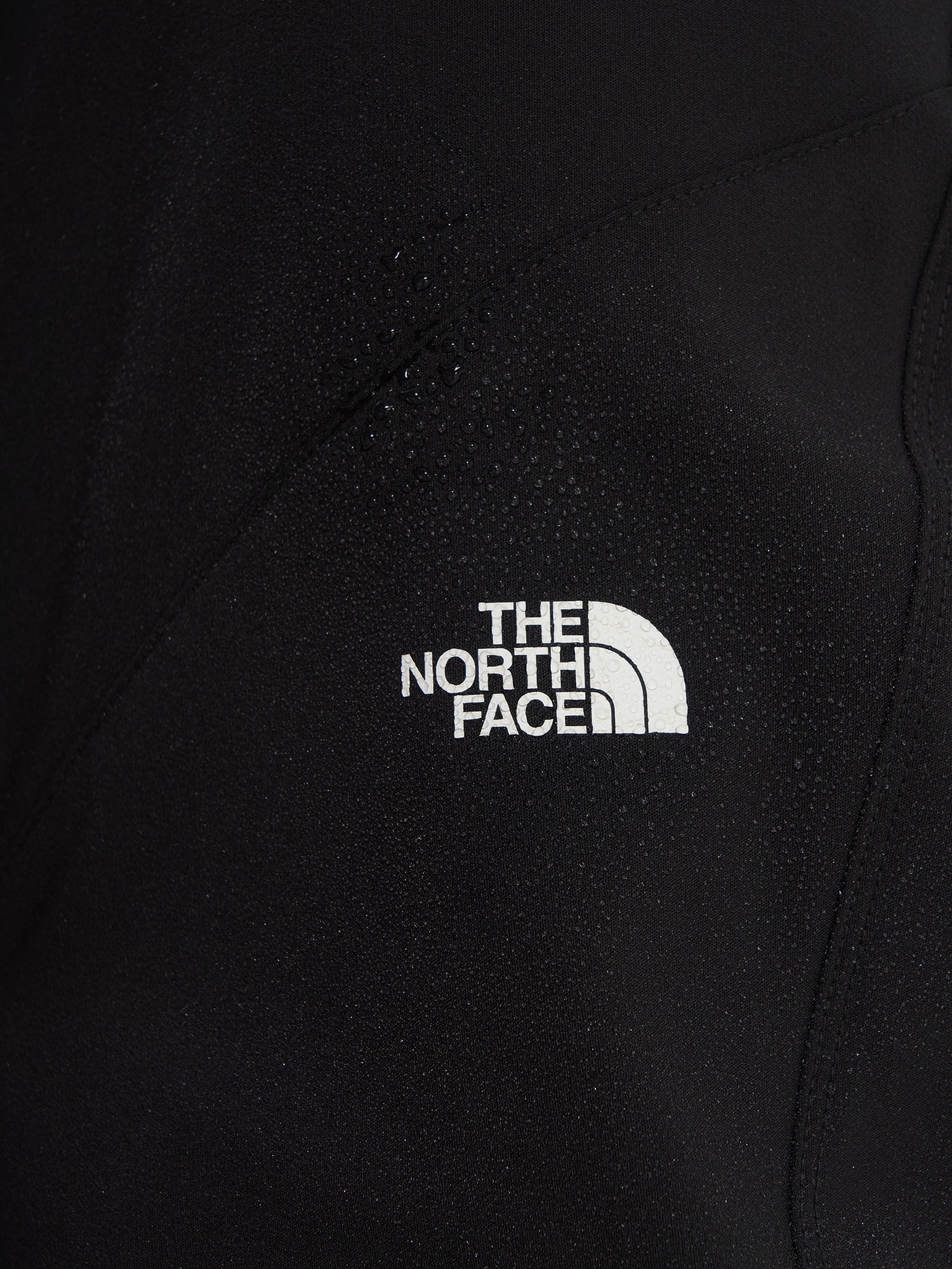 фото Брюки женские the north face, черный