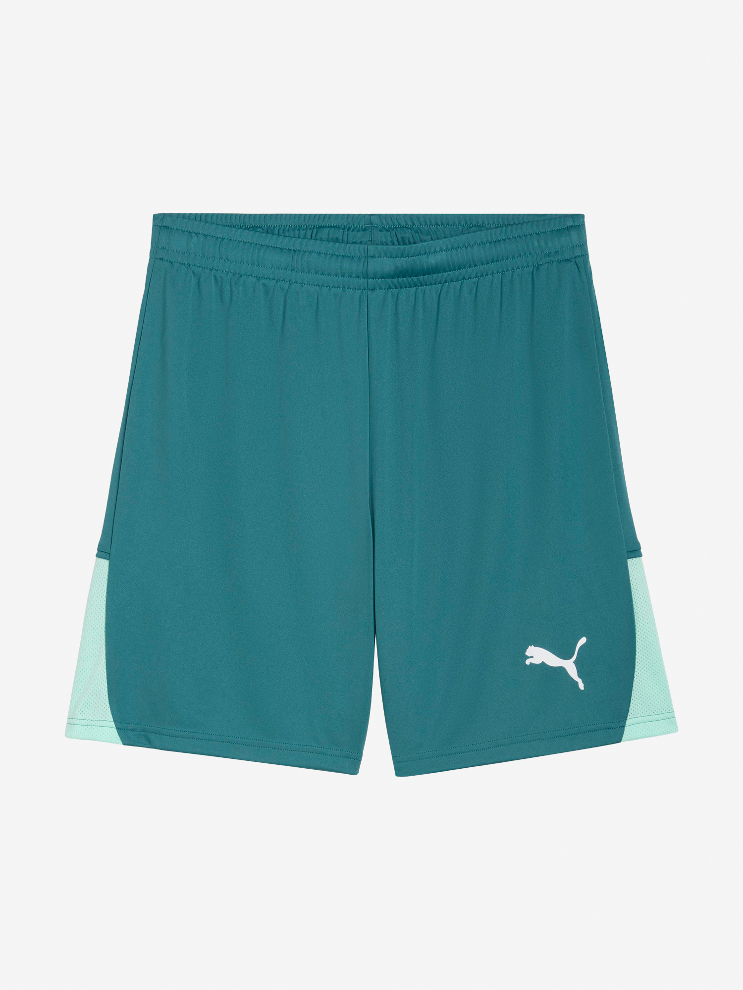 Изображение товара Футбольные мужские шорты PUMA Teamliga26 для активного отдыха Изображение товара Футбольные мужские шорты PUMA Teamliga26 для активного отдыха