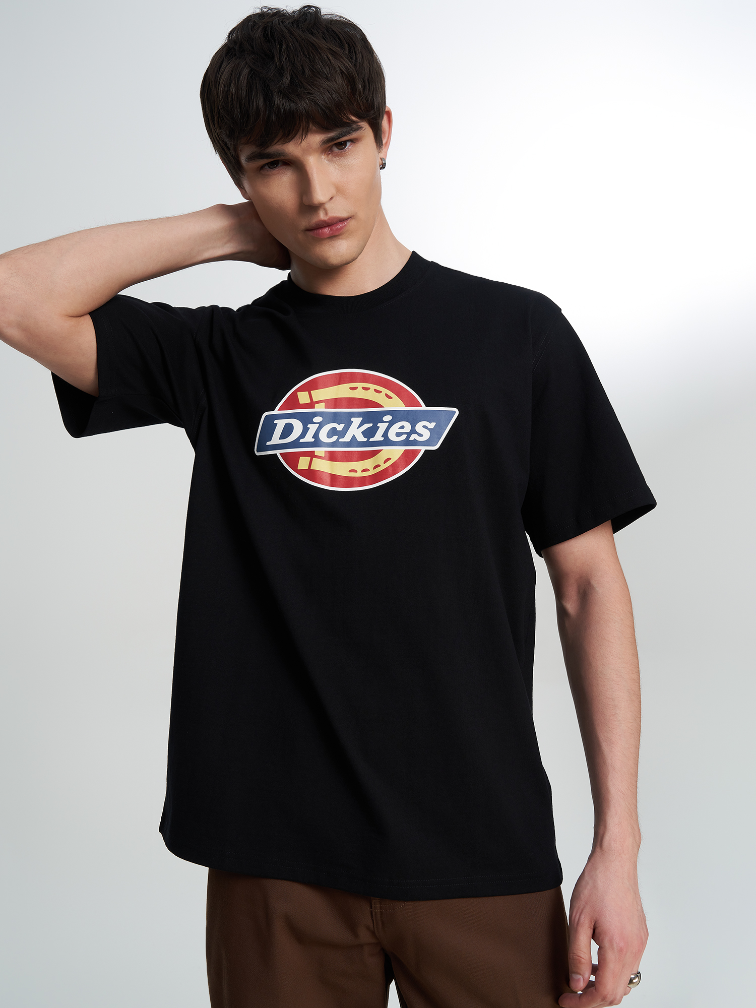 Изображение товара Футболка мужская DICKIES Icon, Черный Изображение товара Футболка мужская DICKIES Icon, Черный