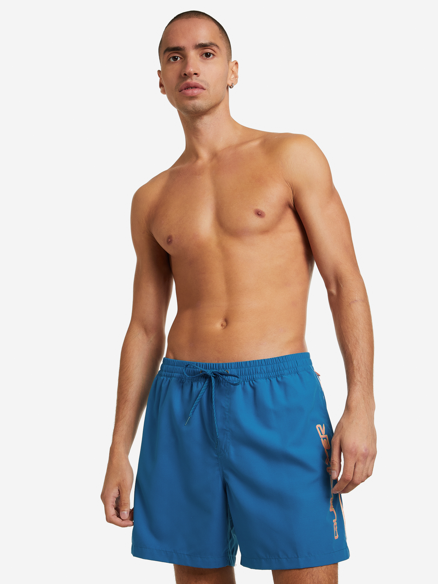 

Шорты пляжные мужские Quiksilver Everyday Vert Volley, Синий