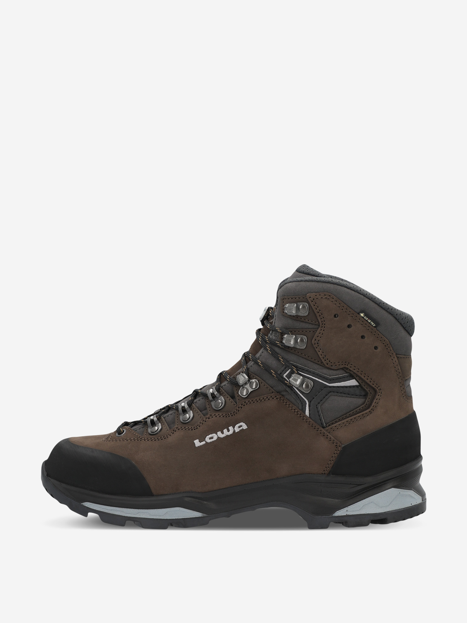 Изображение товара Ботинки мужские Lowa Camino Evo GTX