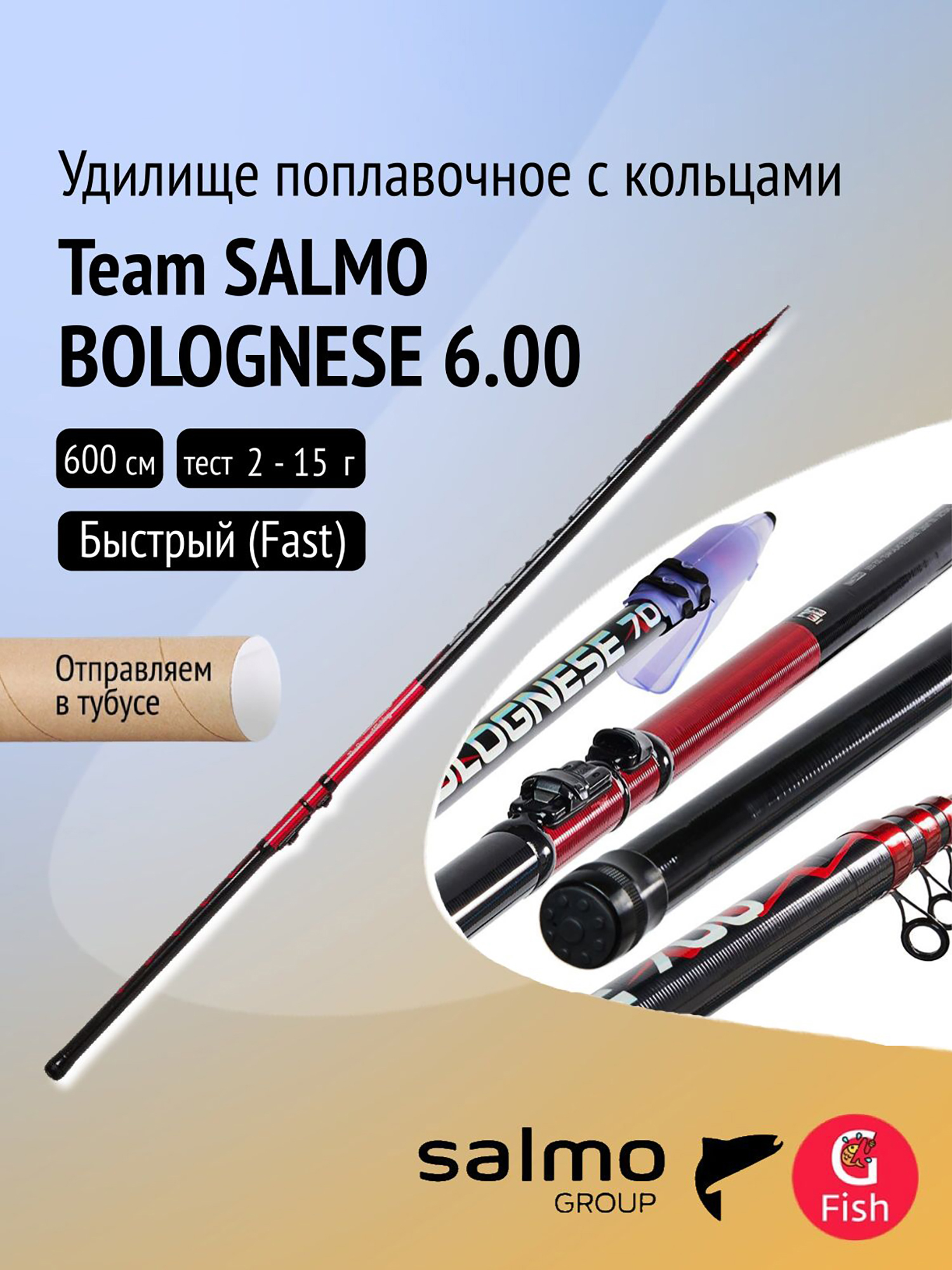 Изображение товара Удилище поплавочное с кольцами Team Salmo BOLOGNESE 6.00 для летней рыбалки