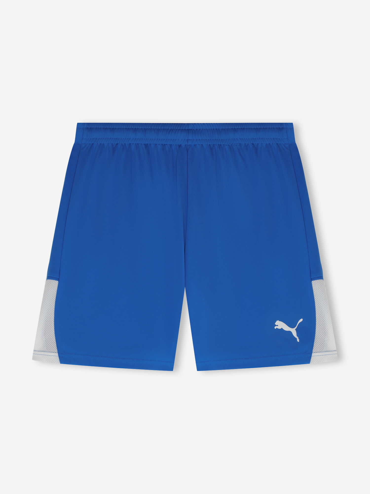 Шорты мужские PUMA Teamliga26, Голубой