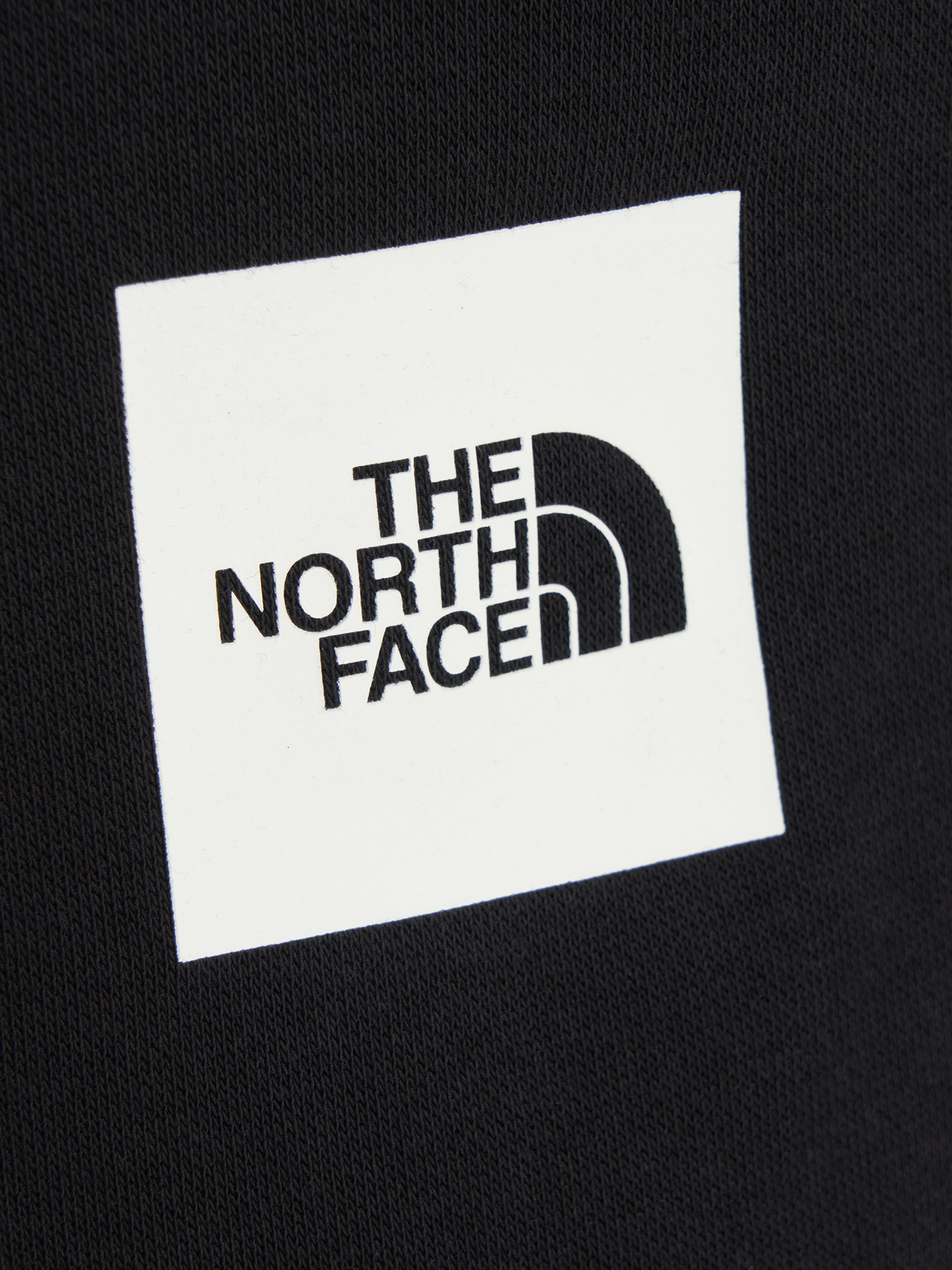 фото Брюки мужские the north face fine, черный
