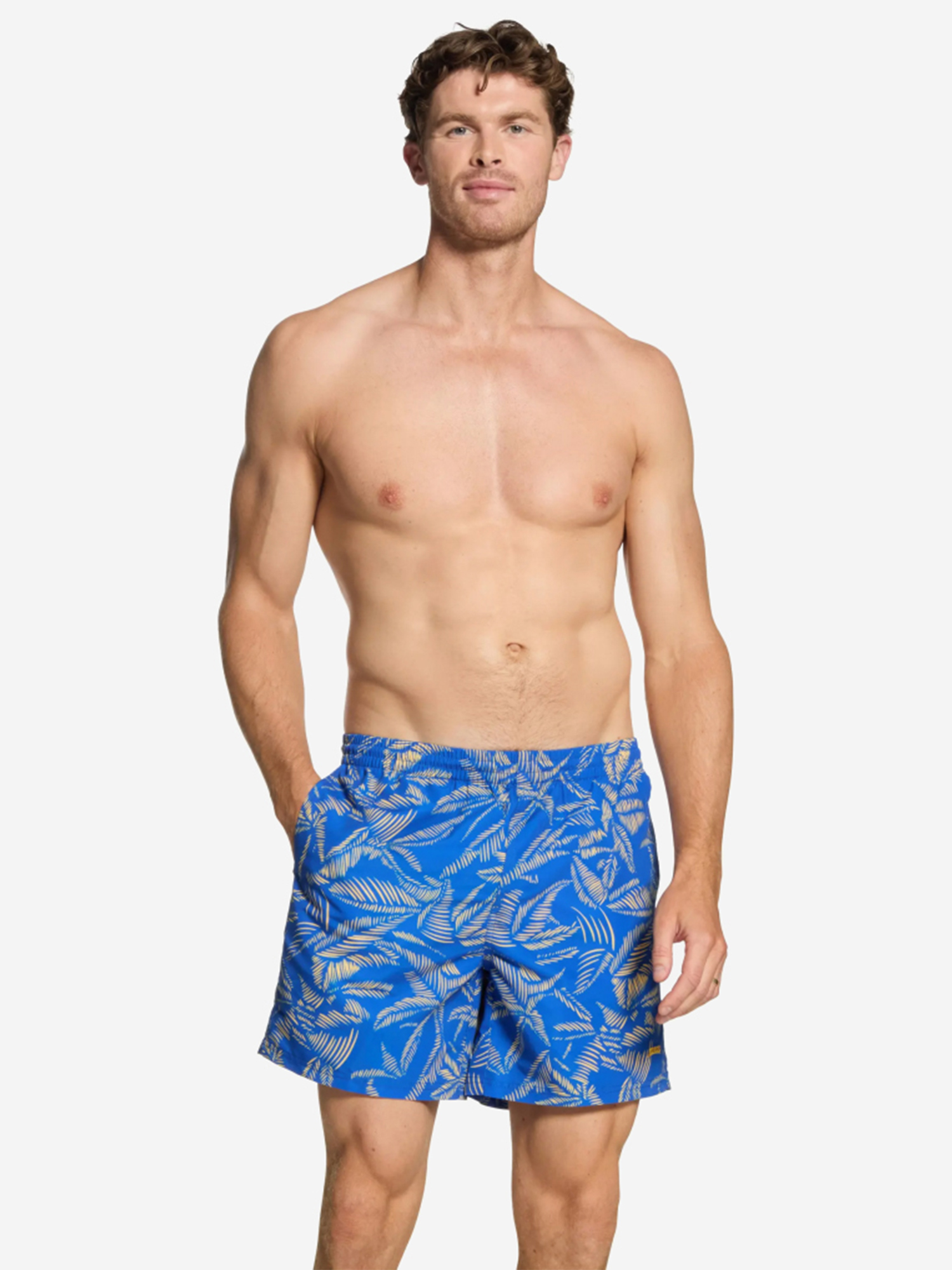 Изображение товара Шорты мужские плавательные ZOGGS Leaf 16" Water Shorts, Синий/серый