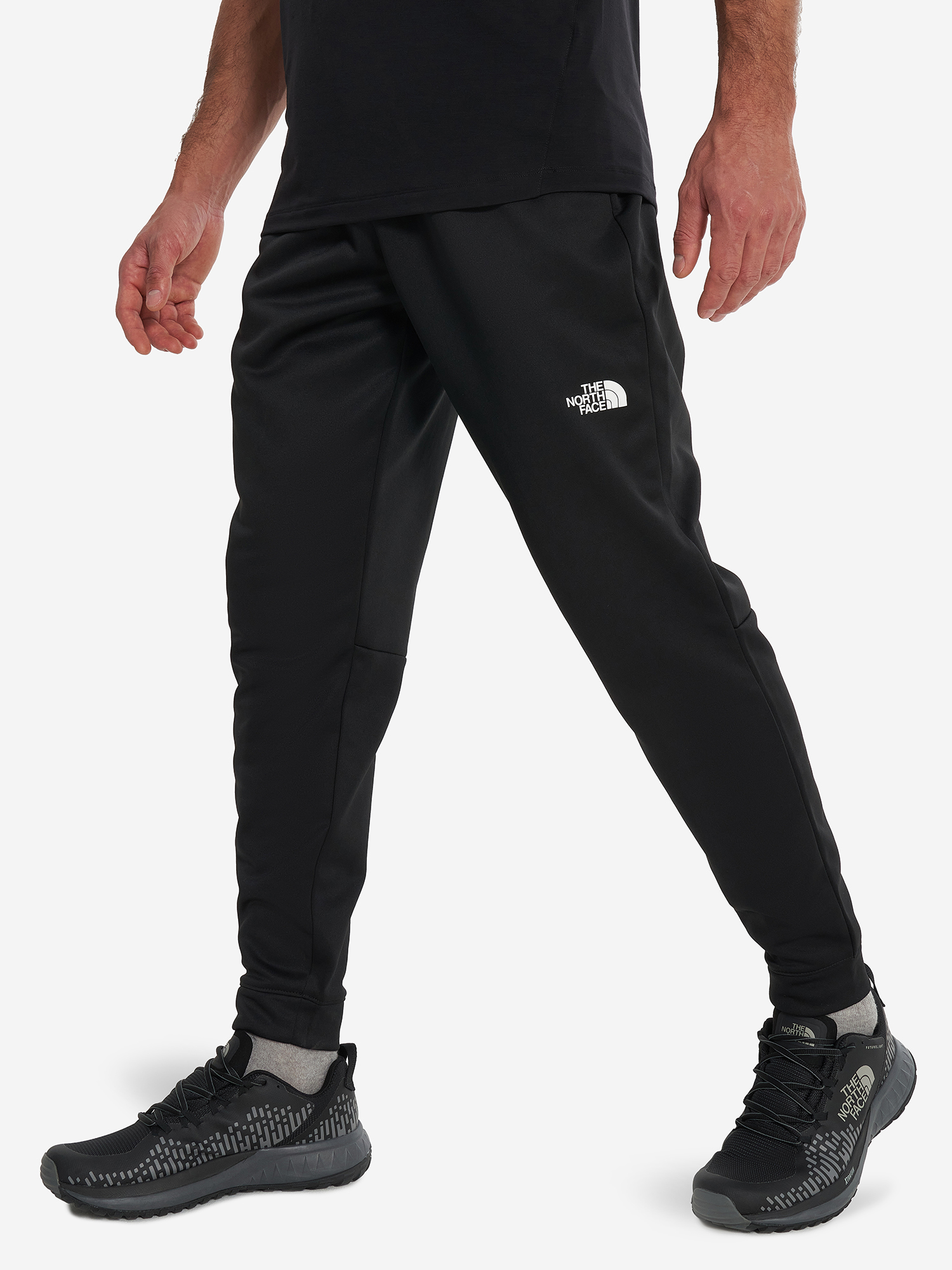

Брюки флисовые мужские The North Face Reaxion, Черный