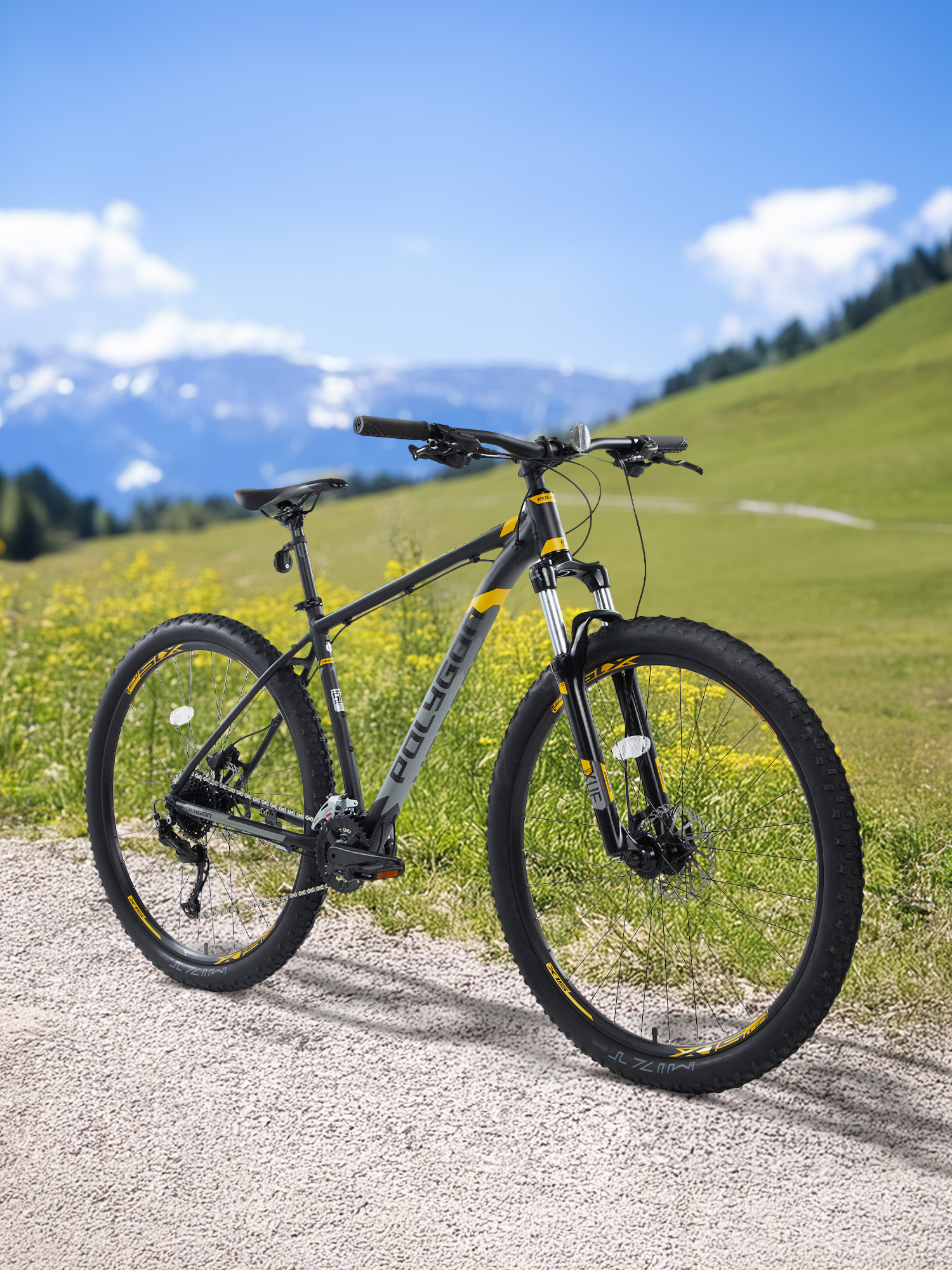 

Велосипед горный Polygon Premier 5 29", Черный