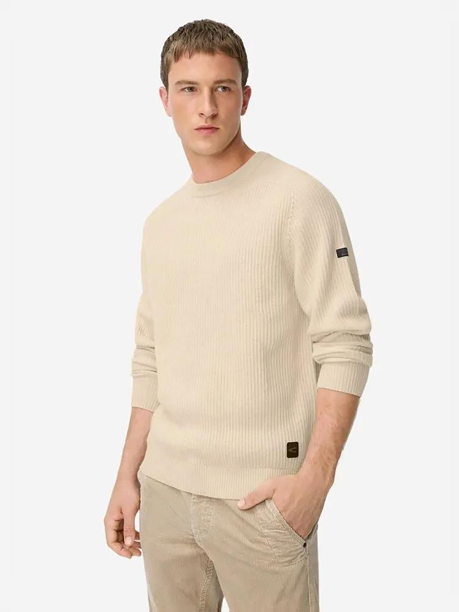 Изображение товара Джемпер мужской Camel Active Pullovers