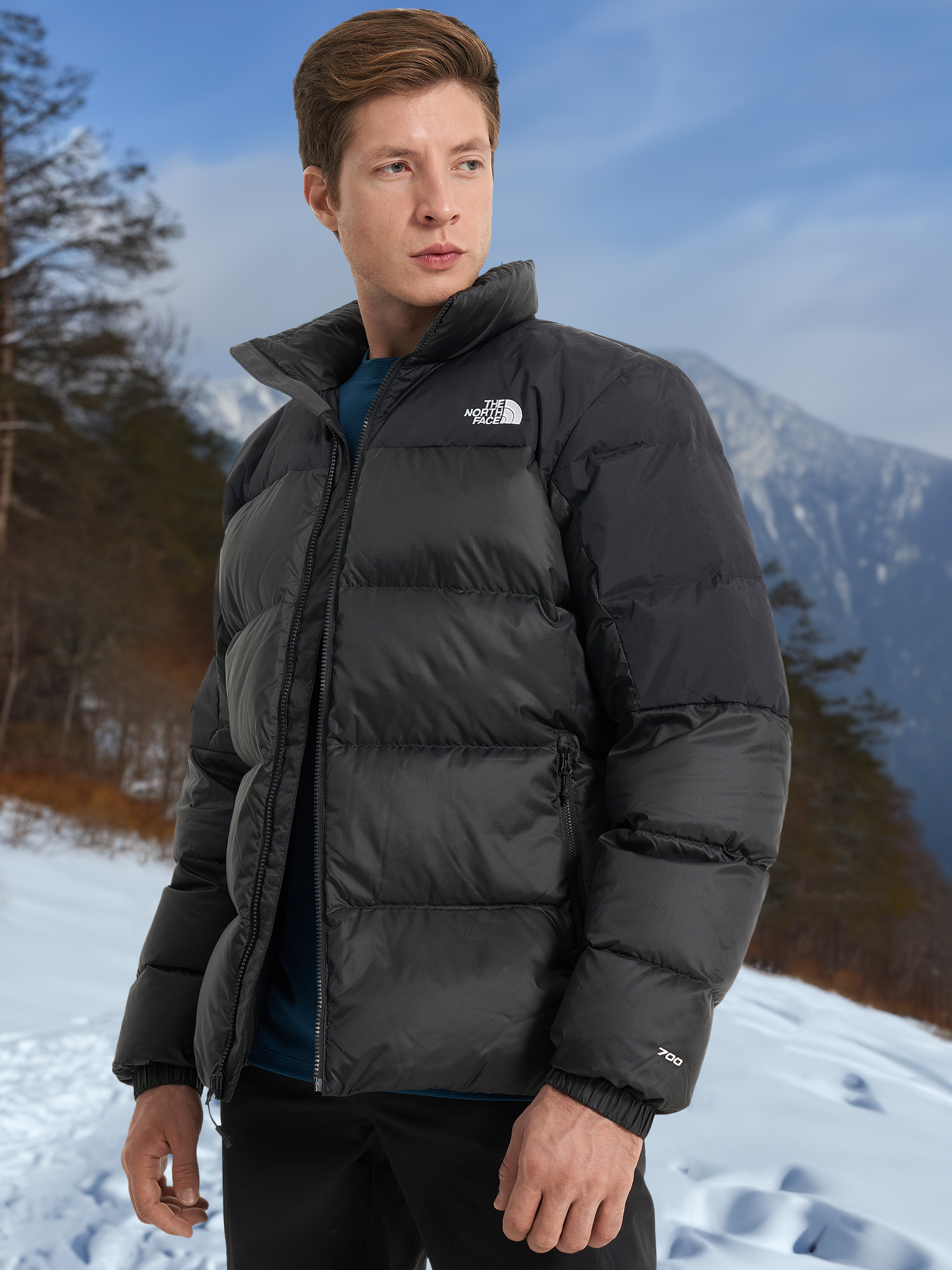 

Пуховик мужской The North Face Diablo, Черный