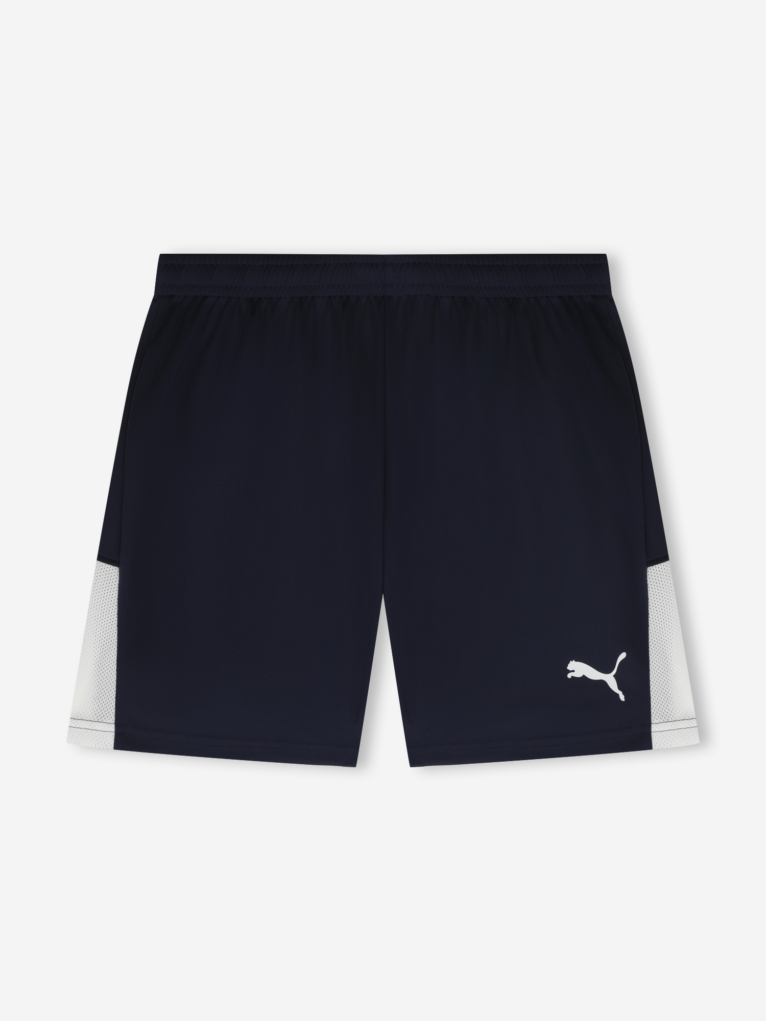 Шорты мужские PUMA Teamliga26, Синий