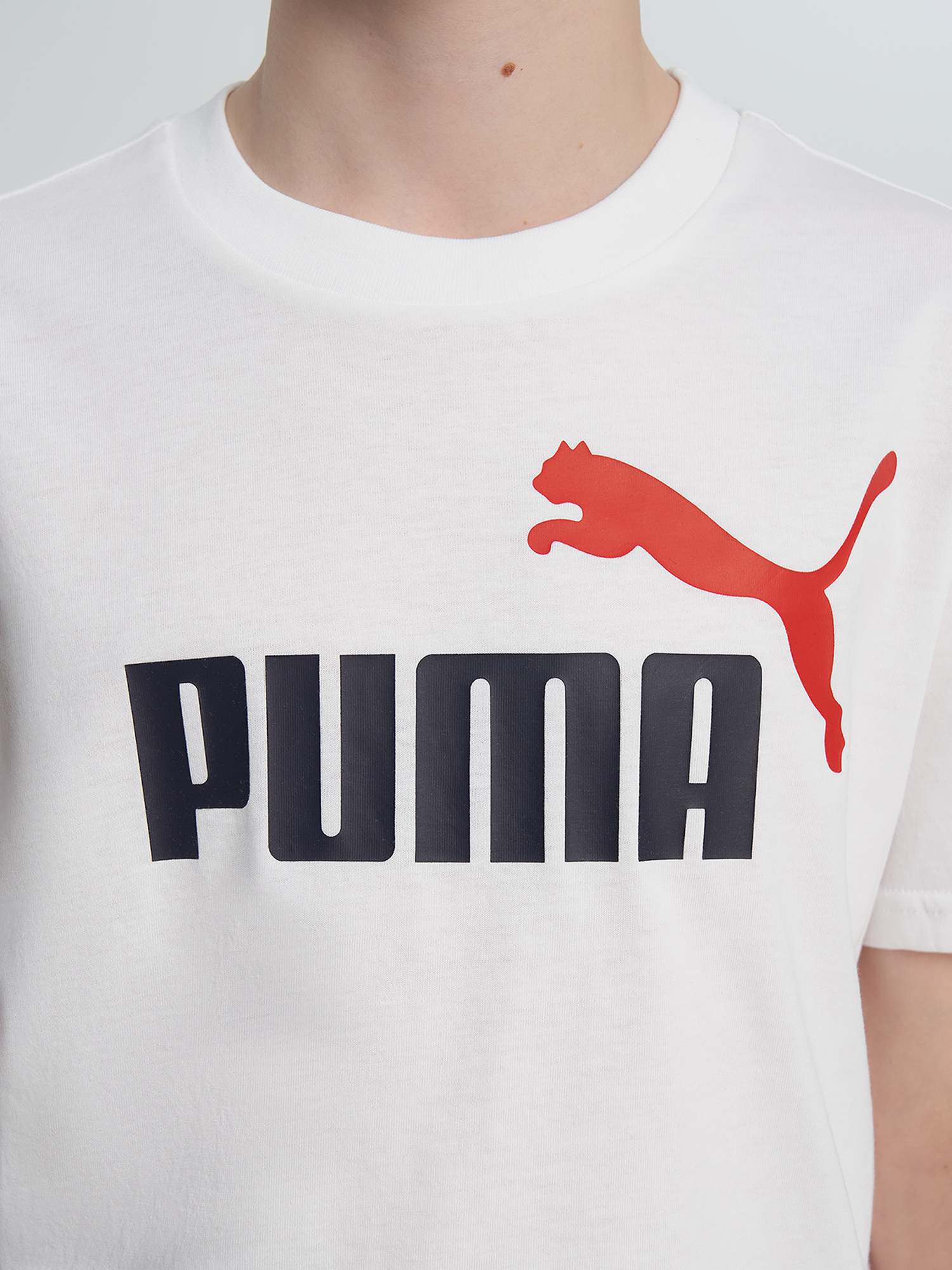 Футболка для мальчиков PUMA Ess 2 Color No.1 Logo, Белый 5