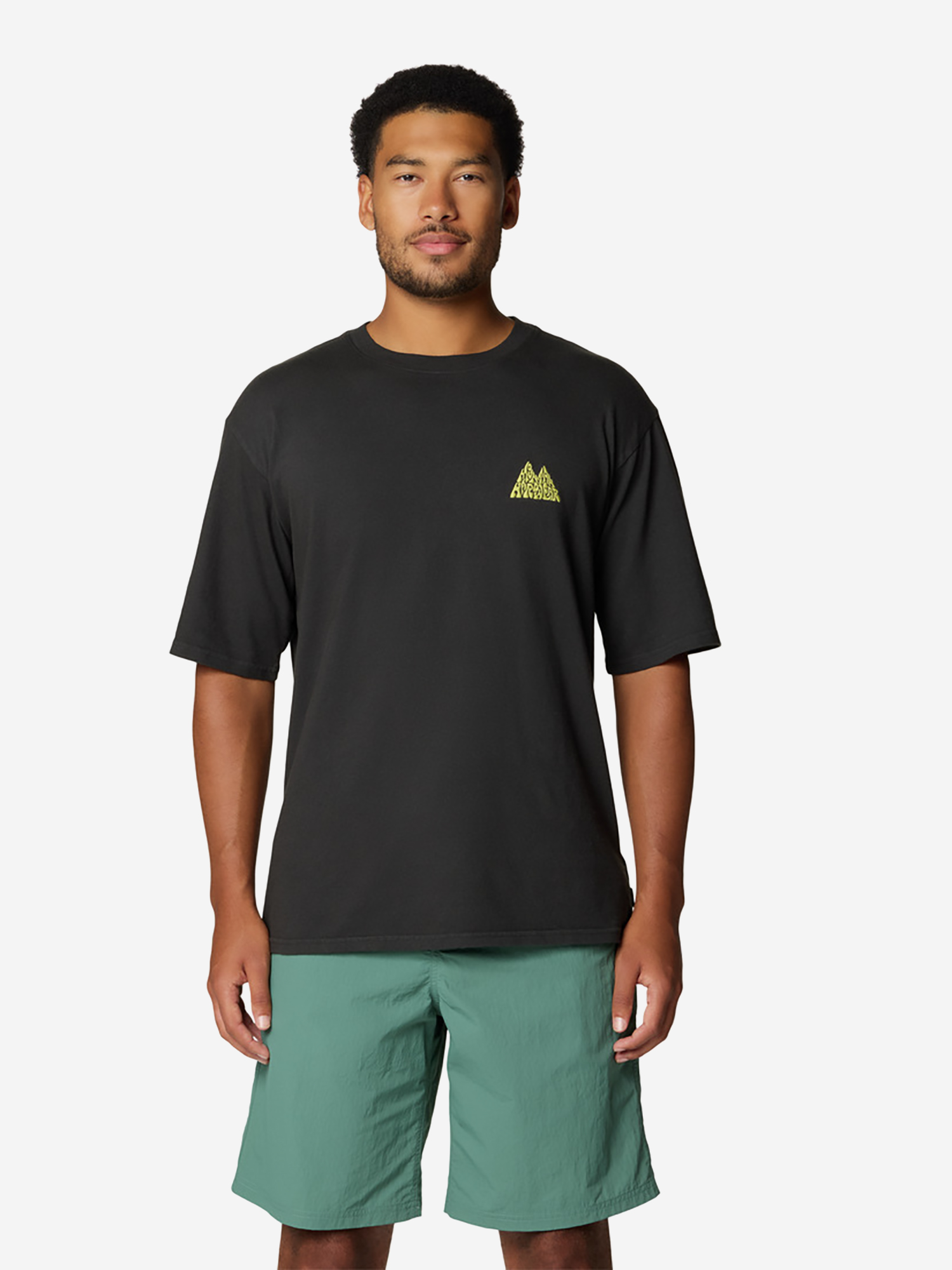 Футболка мужская Mountain Hardwear Mountains Collab Short Sleeve Серый 4999₽