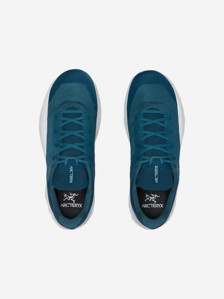 Кроссовки мужские Arc'teryx Norvan LD 4