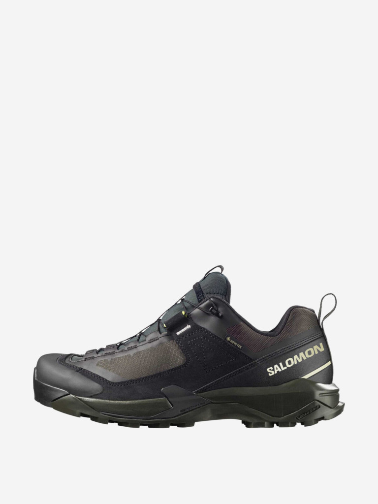 Кроссовки мужские Salomon X Ultra Alpine