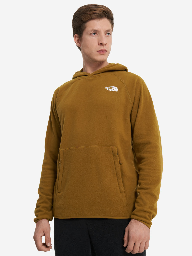 Худи мужское The North Face 100 Glacier