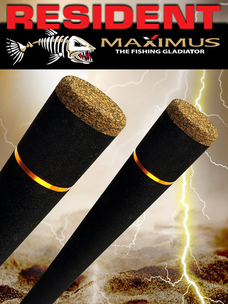 Спиннинг для рыбалки Maximus RESIDENT 27H 2,7m 20-60g