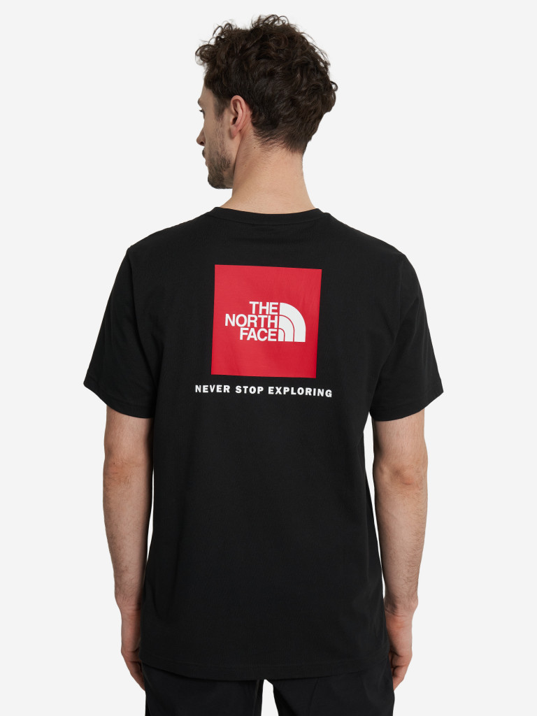 Футболка мужская The North Face Box Nse