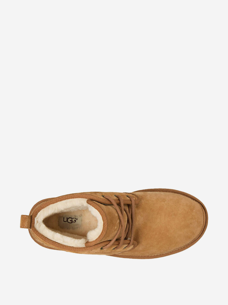 Ботинки утепленные UGG Neumel