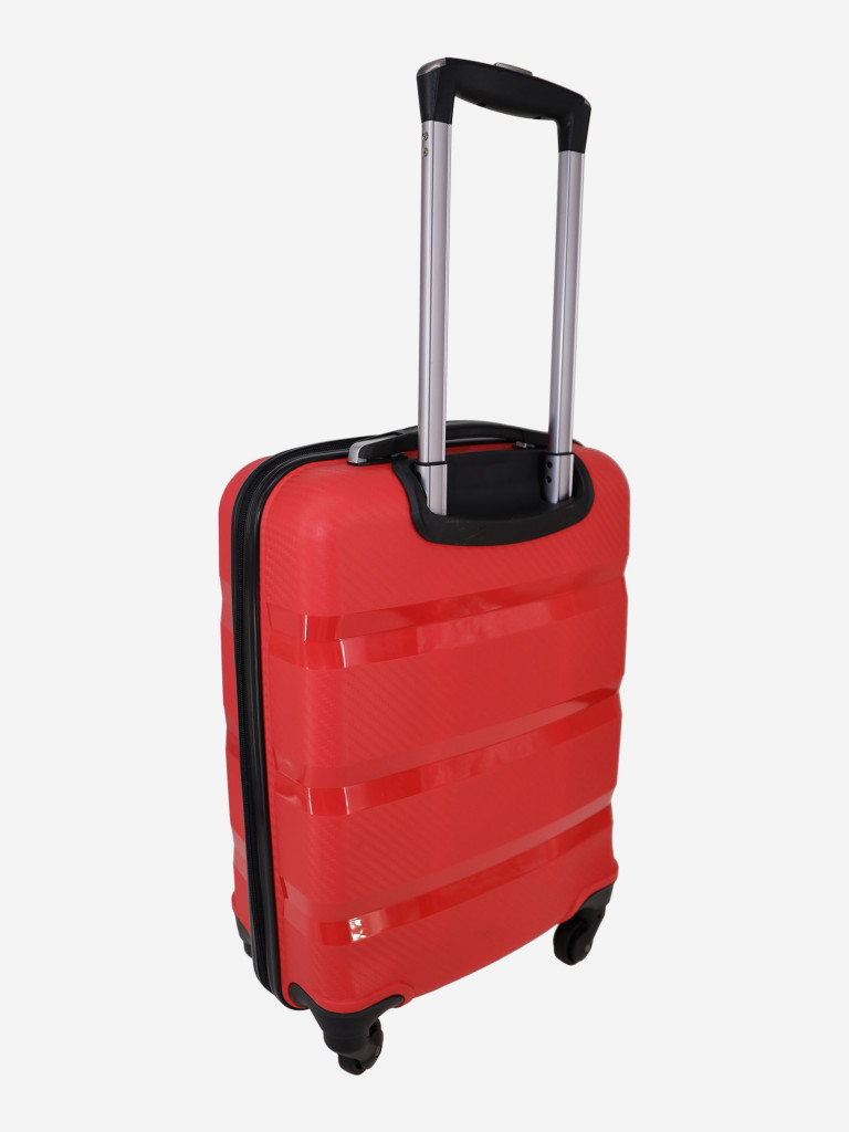 Чемодан RION+ S