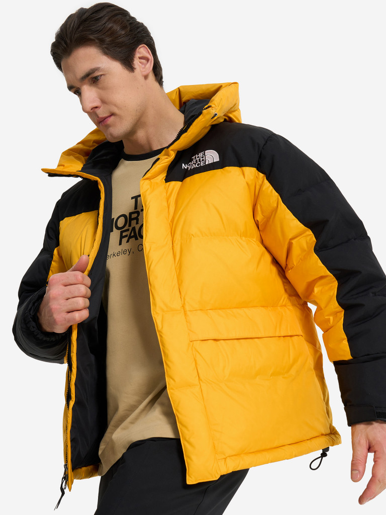 Пуховик мужской The North Face Hmlyn