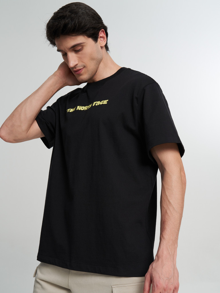 Футболка мужская The North Face Logo Twist