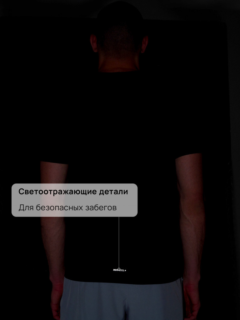 Футболка мужская Demix