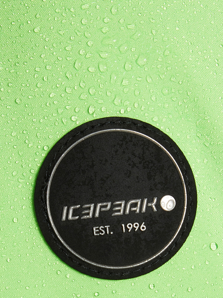 Куртка горнолыжная мужская IcePeak Epping