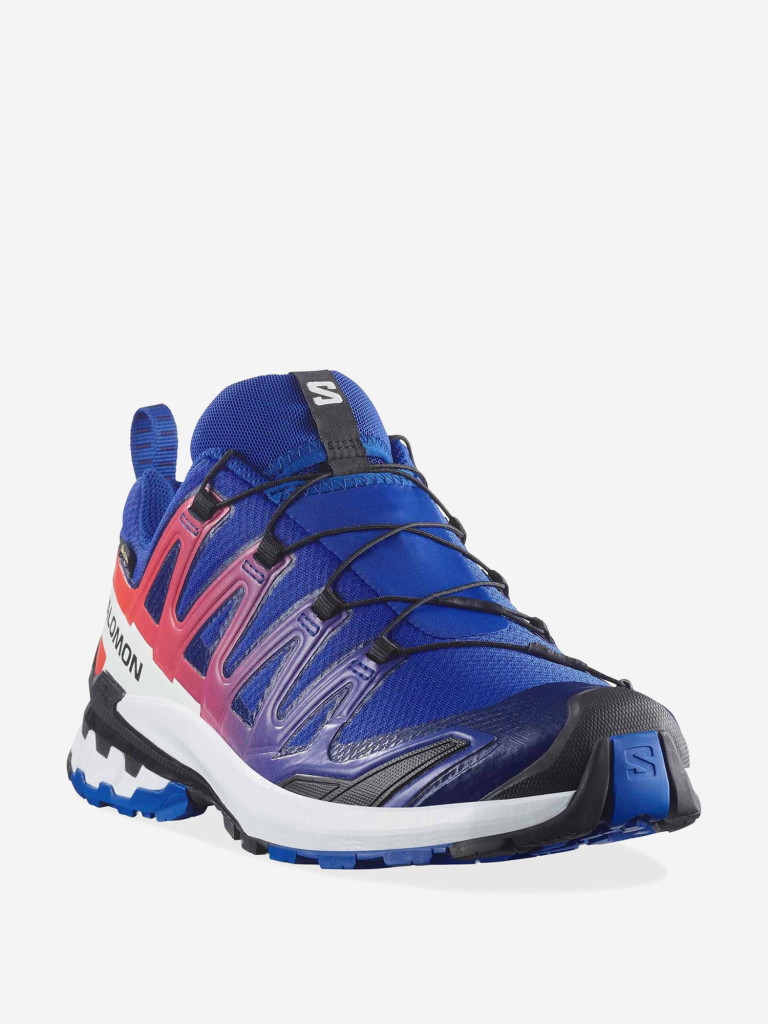 Кроссовки Salomon XA PRO 3D V9 GTX Equipe