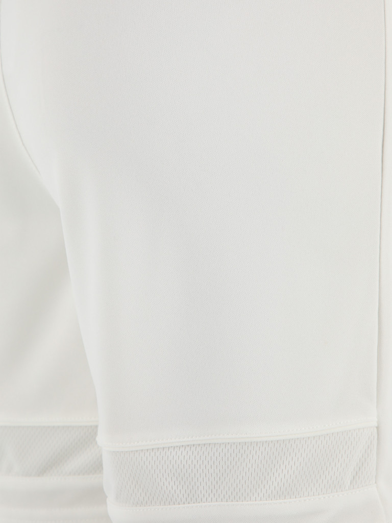 Шорты для мальчиков Nike Dri-FIT Academy