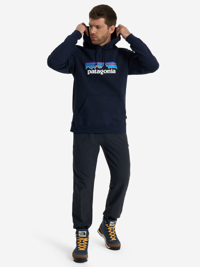Худи мужское Patagonia Logo Uprisal