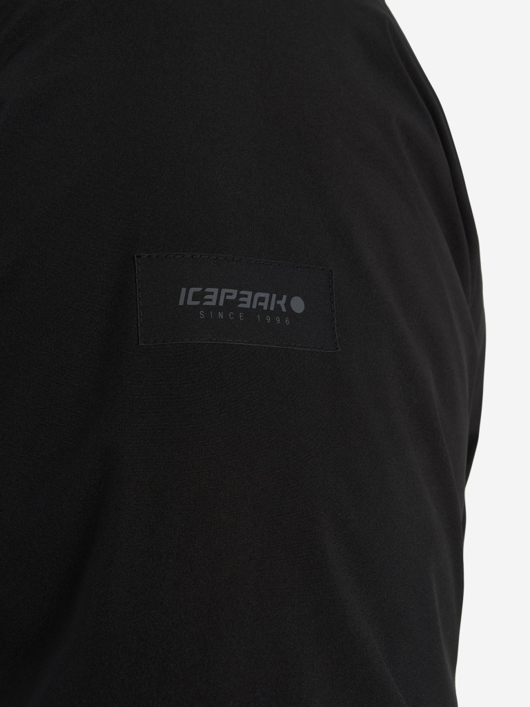 Пуховик мужской IcePeak Arvin