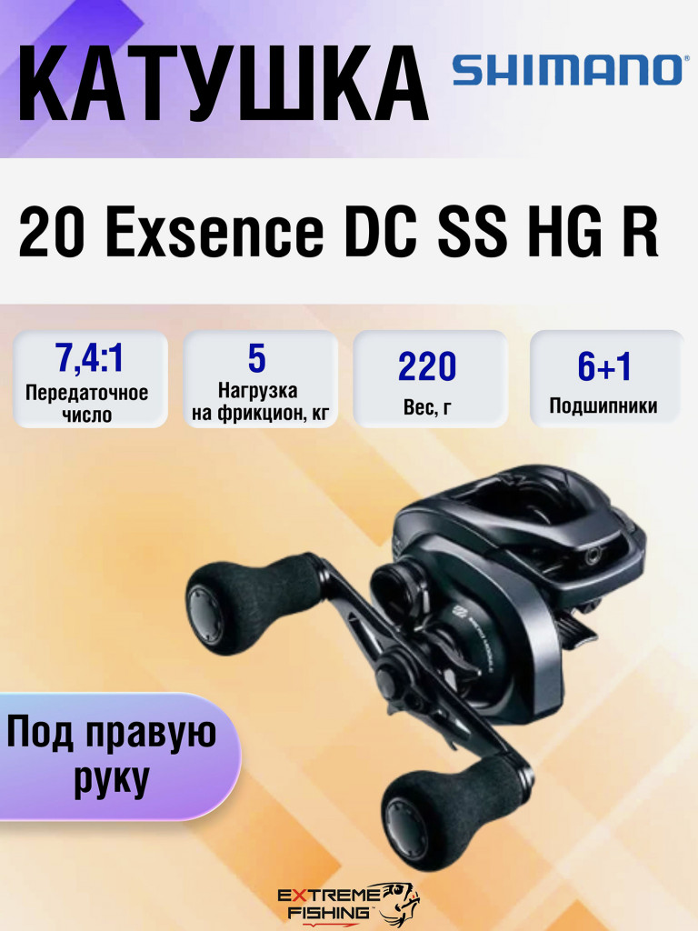 20EXSENCE DCSS HG R 【公式通販】