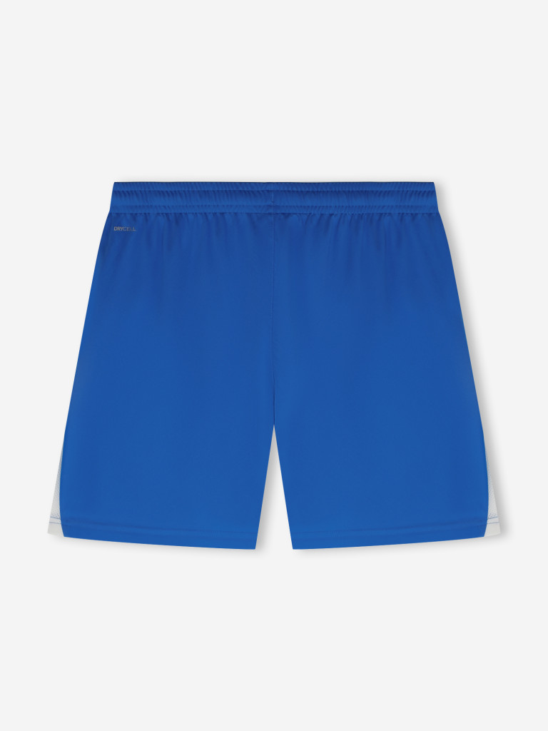 Шорты мужские PUMA Teamliga26