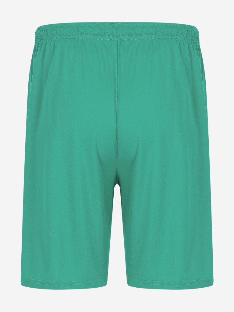 Шорты мужские PUMA teamLIGA