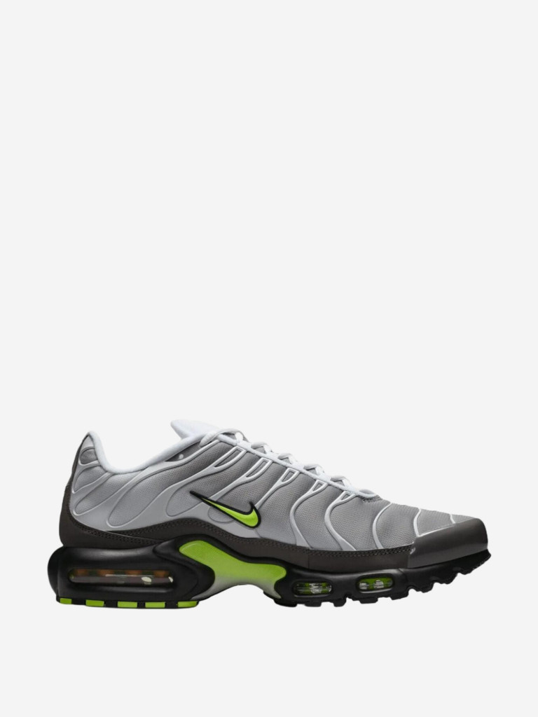 Кроссовки мужские Nike Air Max Plus