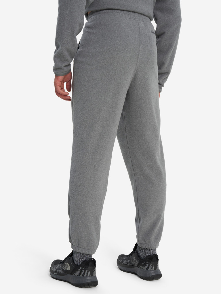 Брюки флисовые мужские The North Face Glacier