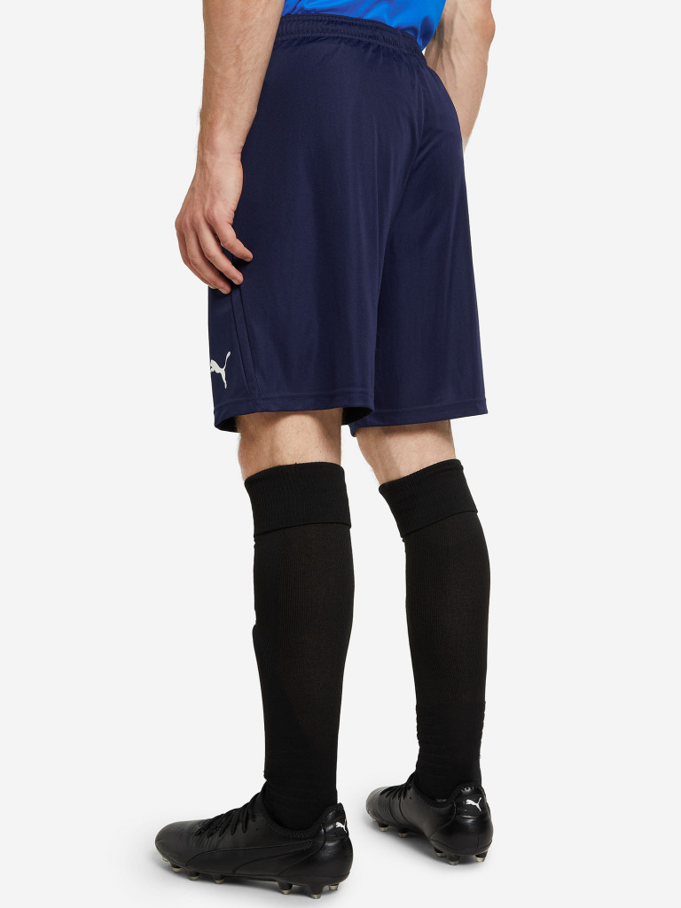 Шорты мужские PUMA Team Liga