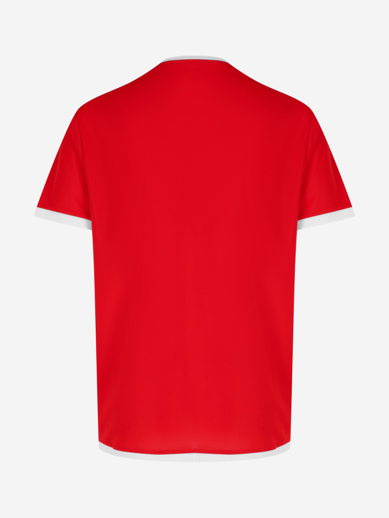 Футболка мужская PUMA Team Liga