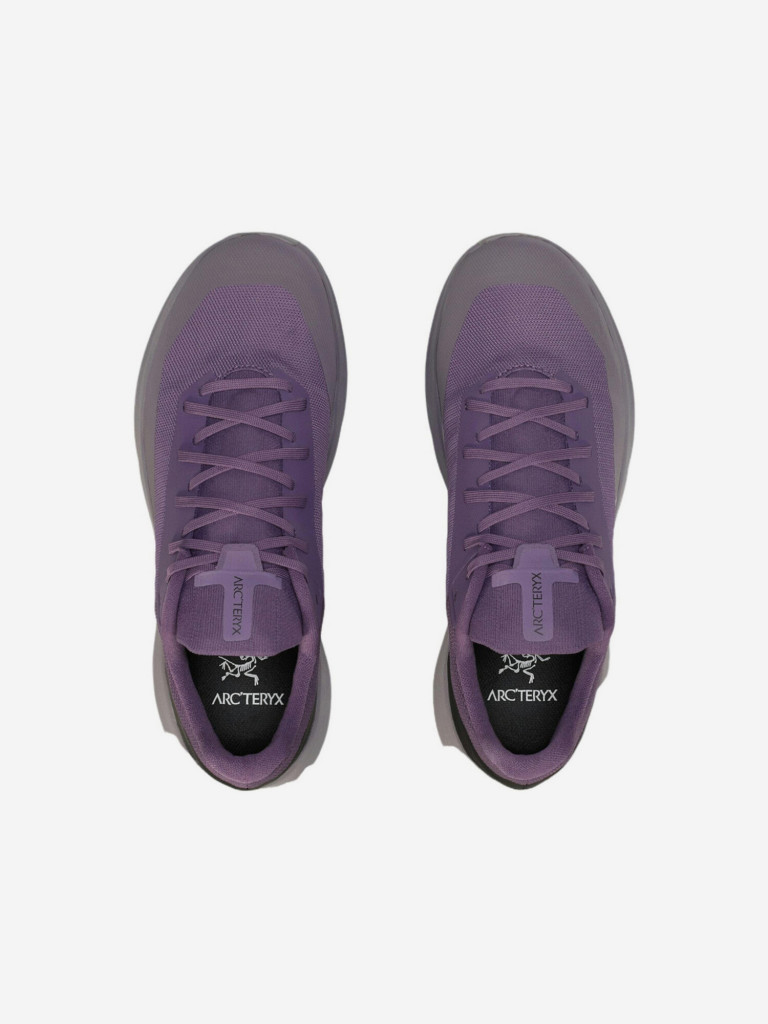Кроссовки мужские Arc'teryx Norvan LD 4