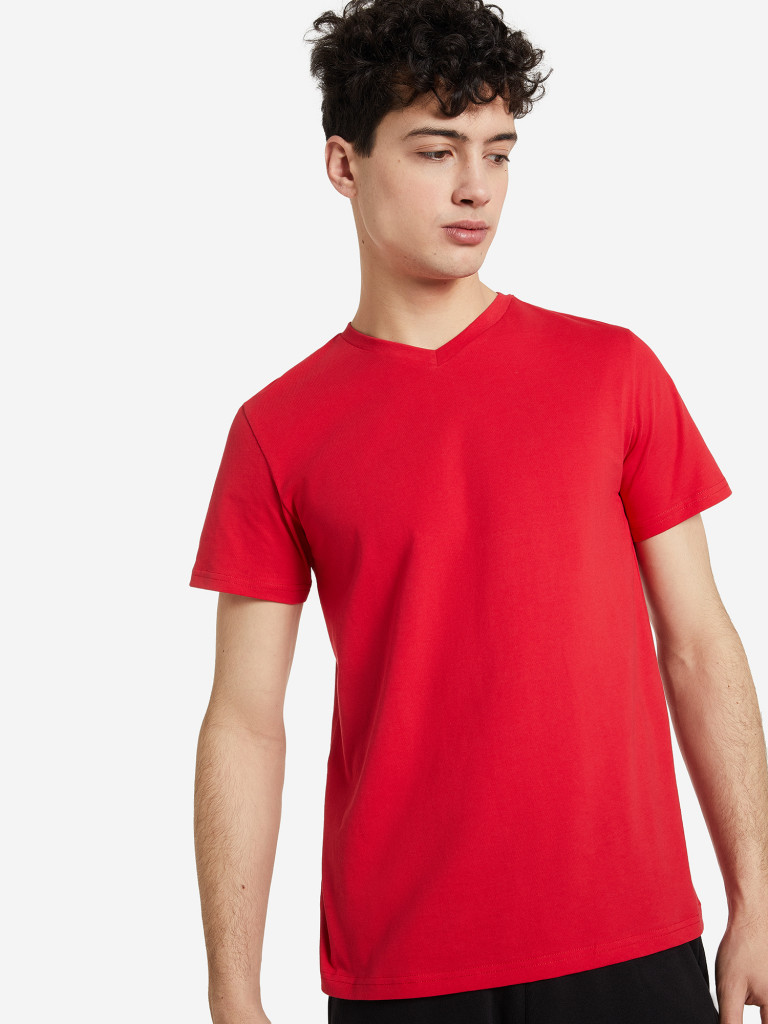 Футболка мужская GSD