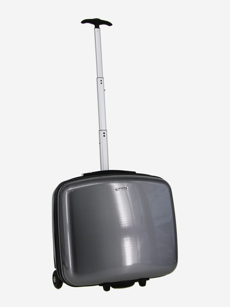 Чемодан RION+ S